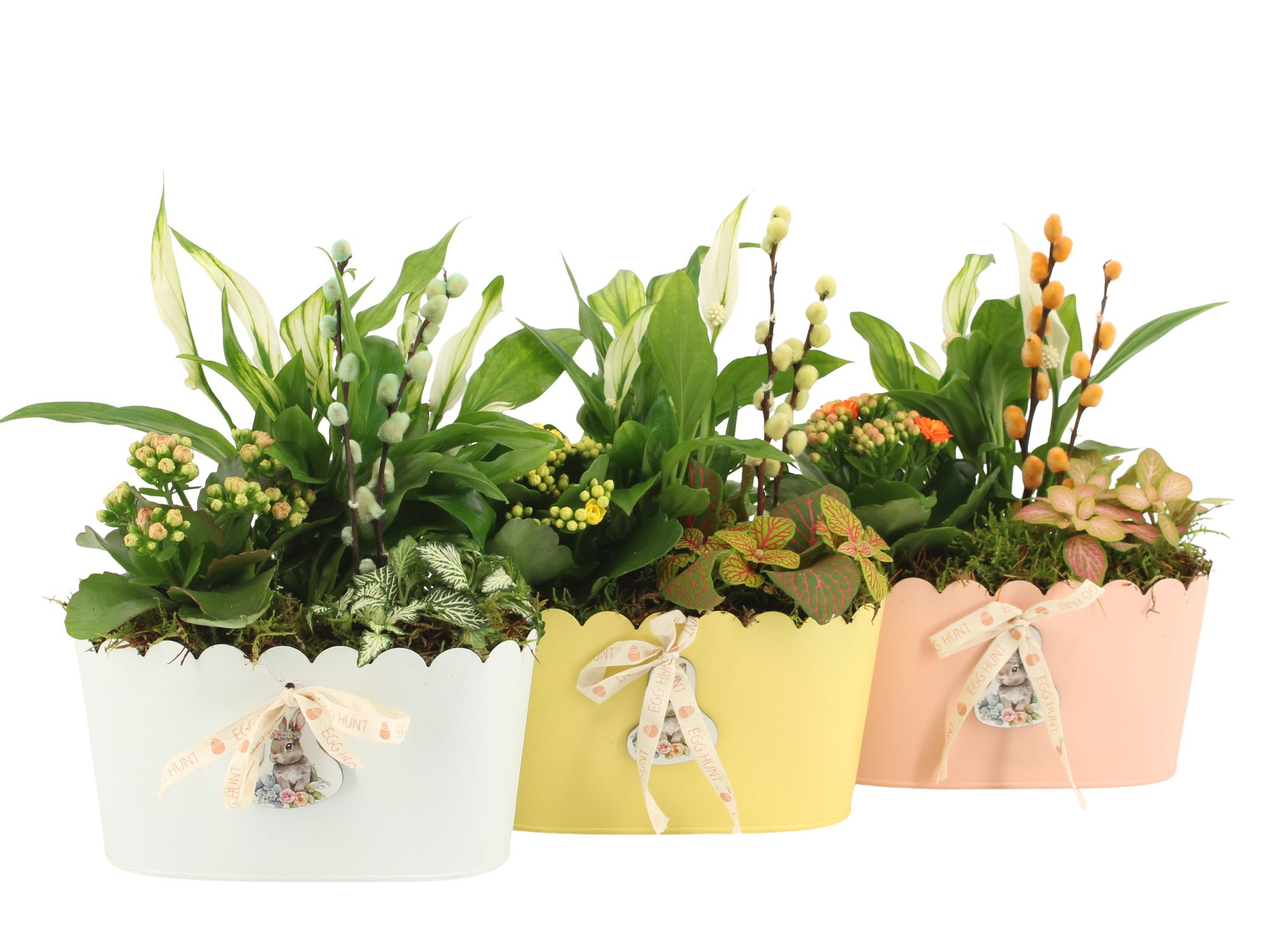 70862: Easter arrangement, D 20