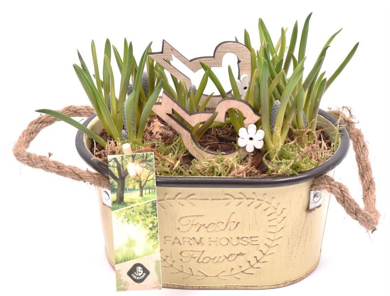 Zink ovaal met touw17x11cm, D 18