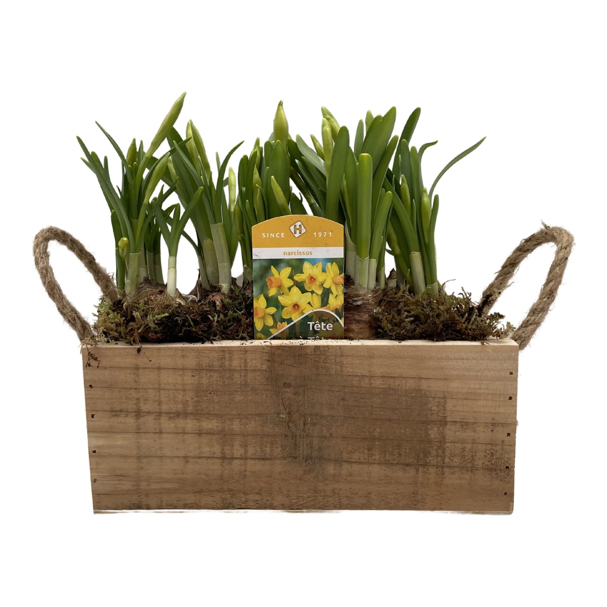 Houten kistje Tete-a-Tete, D 22 cm