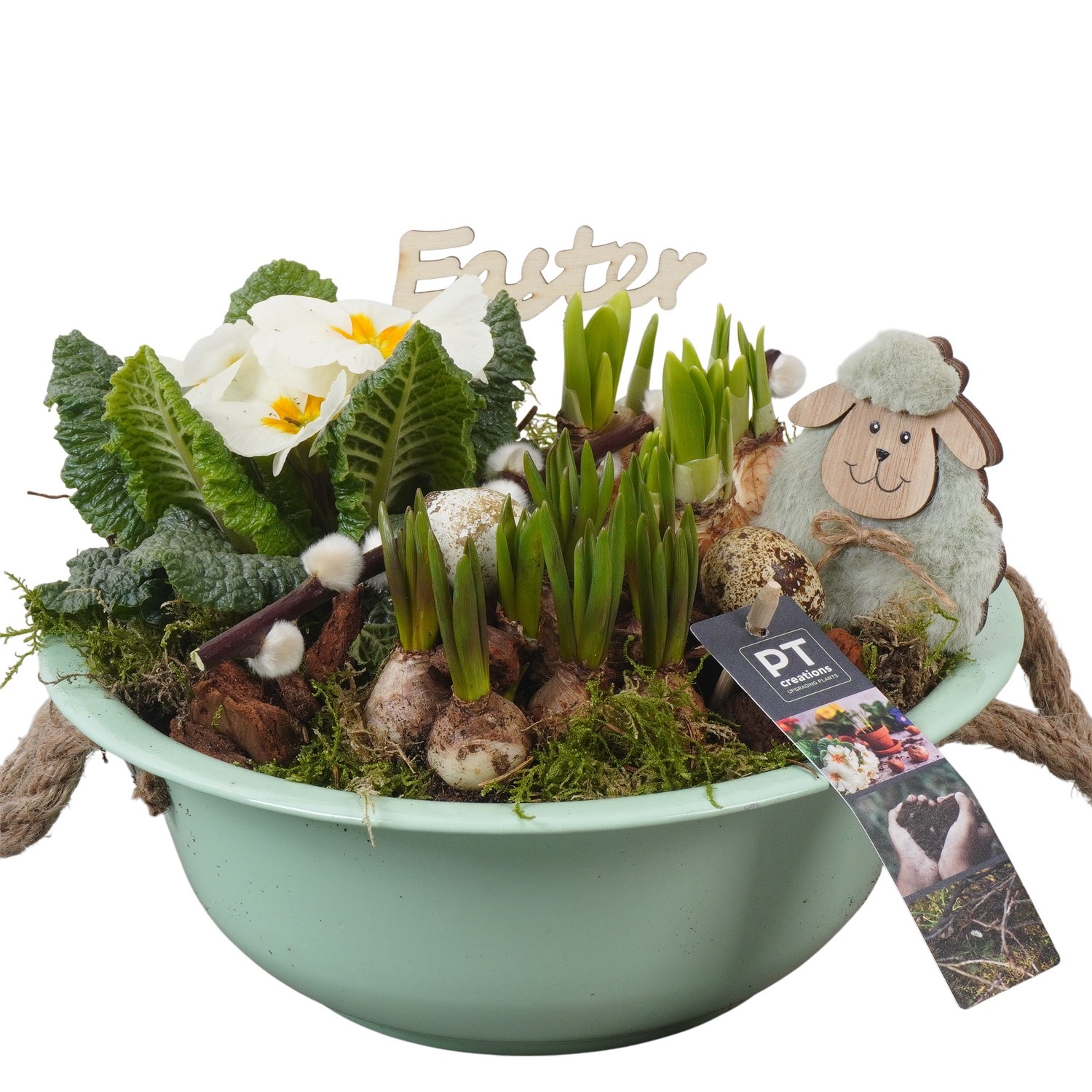 PTBMP5602 Arrangement Easter Bulbs Mix in zink schaal, D 24
