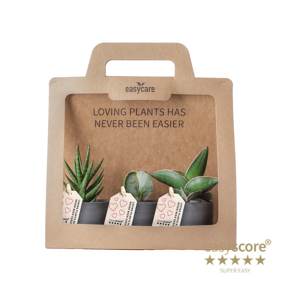 GREEN MIX 40690107 Raw Black 3-pack, D 7 cm