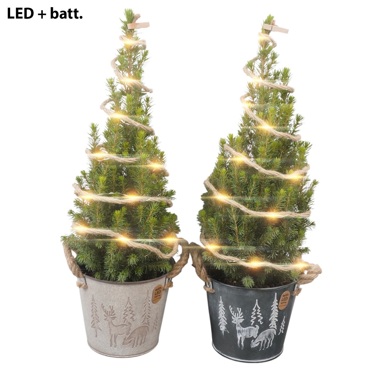 PTK26361 Conica Perfecta in zink mix met LED, D 15