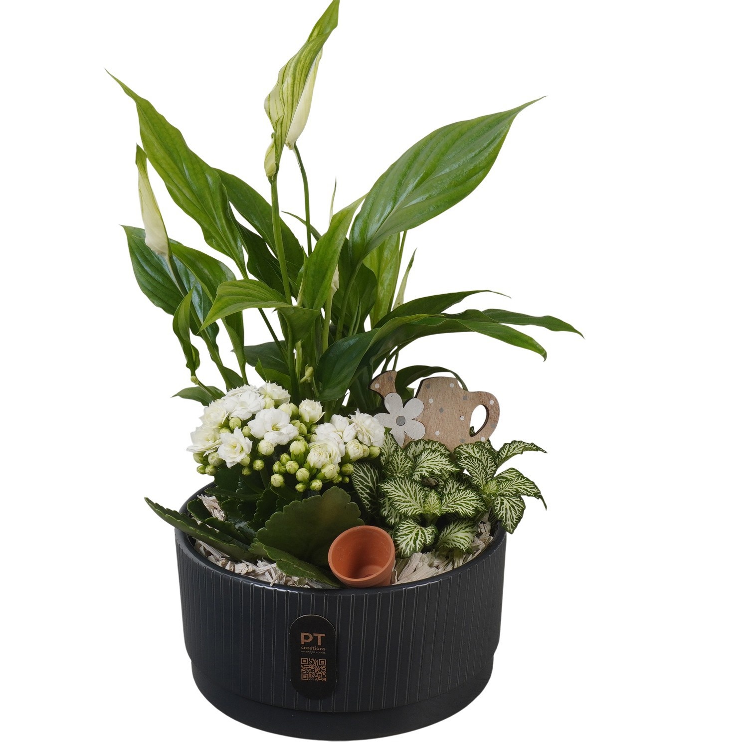 PTIB5128 Arrangement Indoor in keramiek schaal, D 19