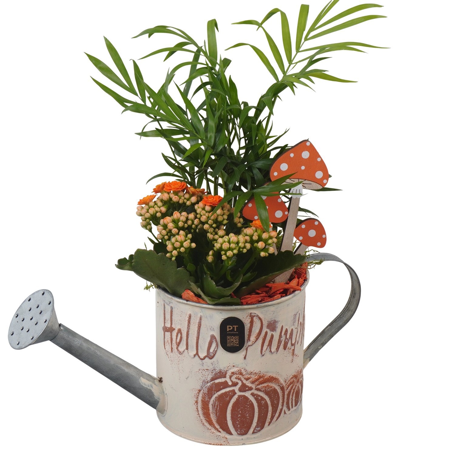 PTHI3364 Arrangement Autumn Indoor in metalen gieter, D 12