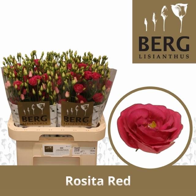 Эустома Розита Рэд 70 (красн.), шт.