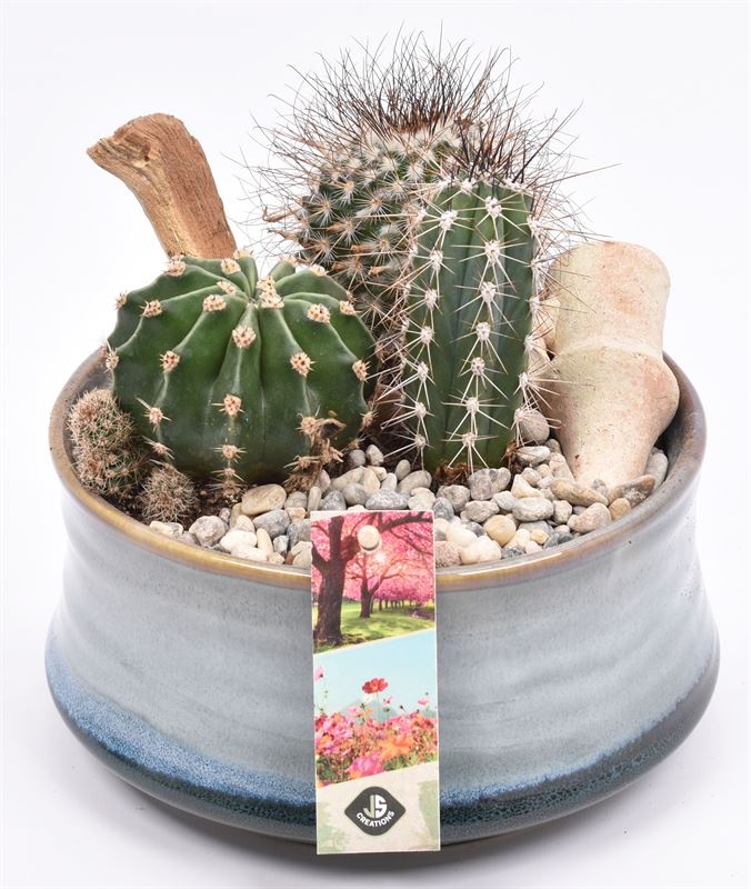 Keramiek schaal blauw/grijs 18cm, D 19