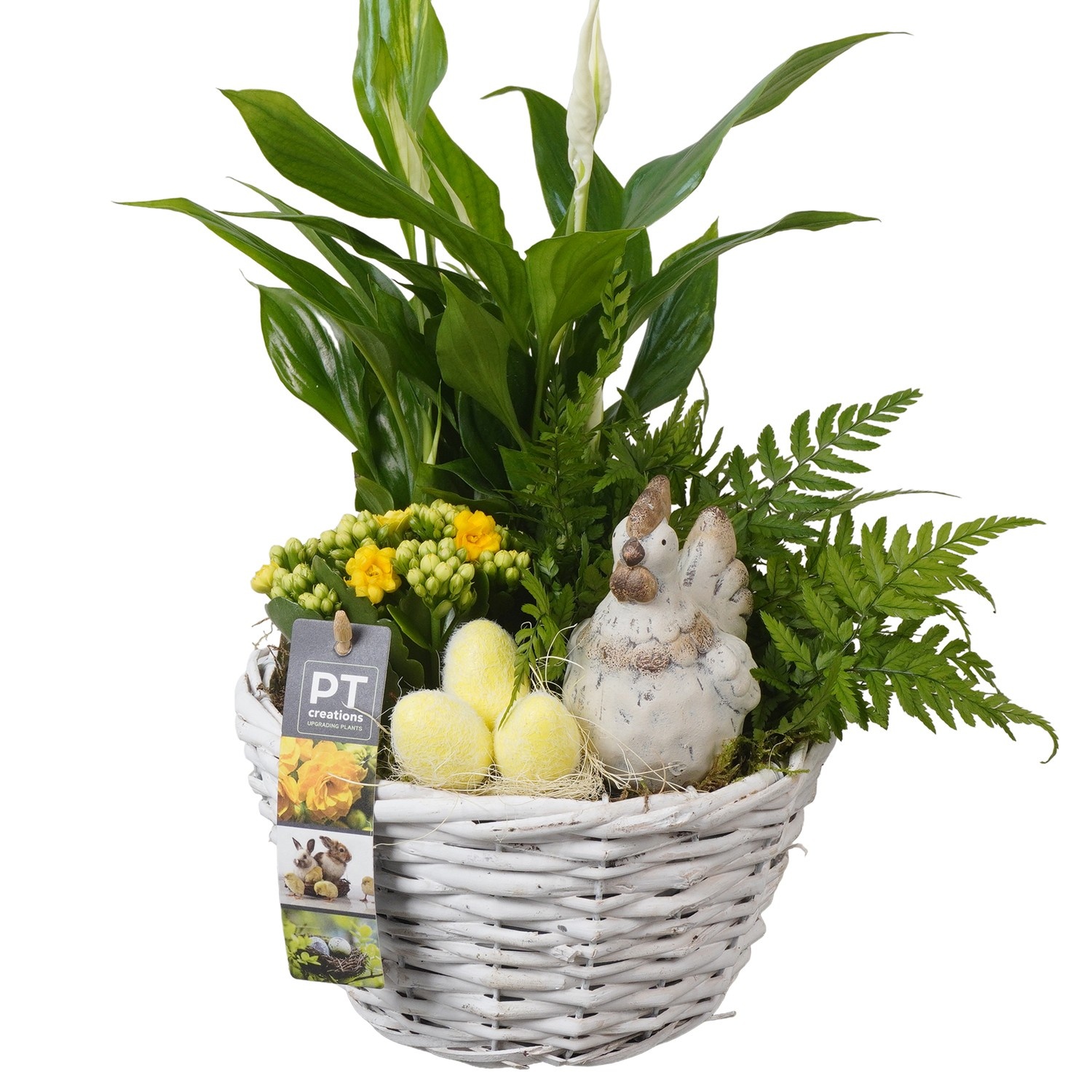 PTPB6562 Arrangement Easter in rieten mand, D 18