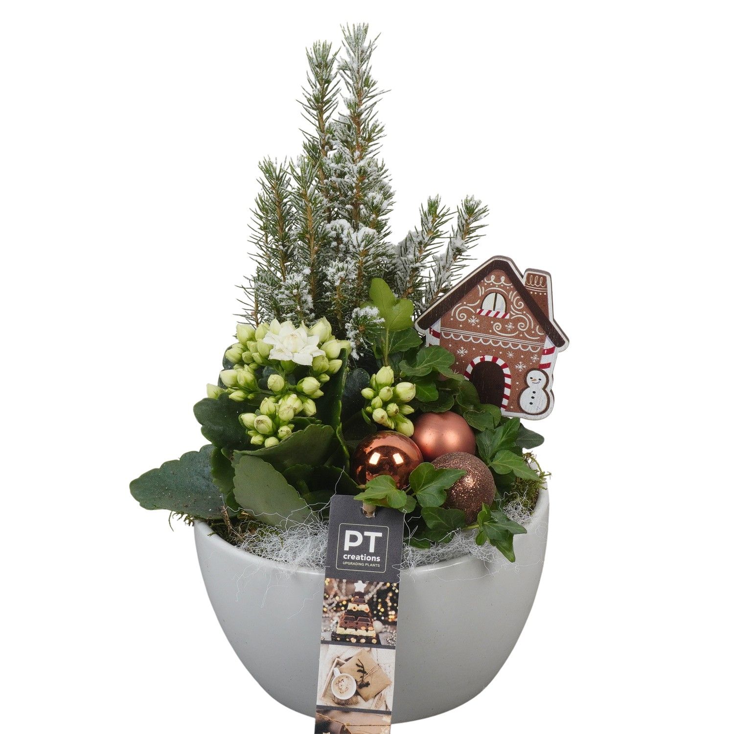 PTCHB9748 Arrangement Christmas Bronze in keramiek schaal, D 15 cm