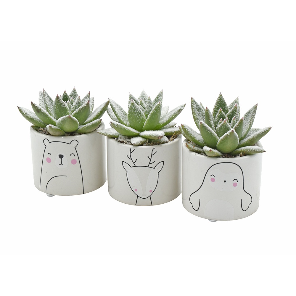 Miranda + snow in Winter Animals ceramics, D 7