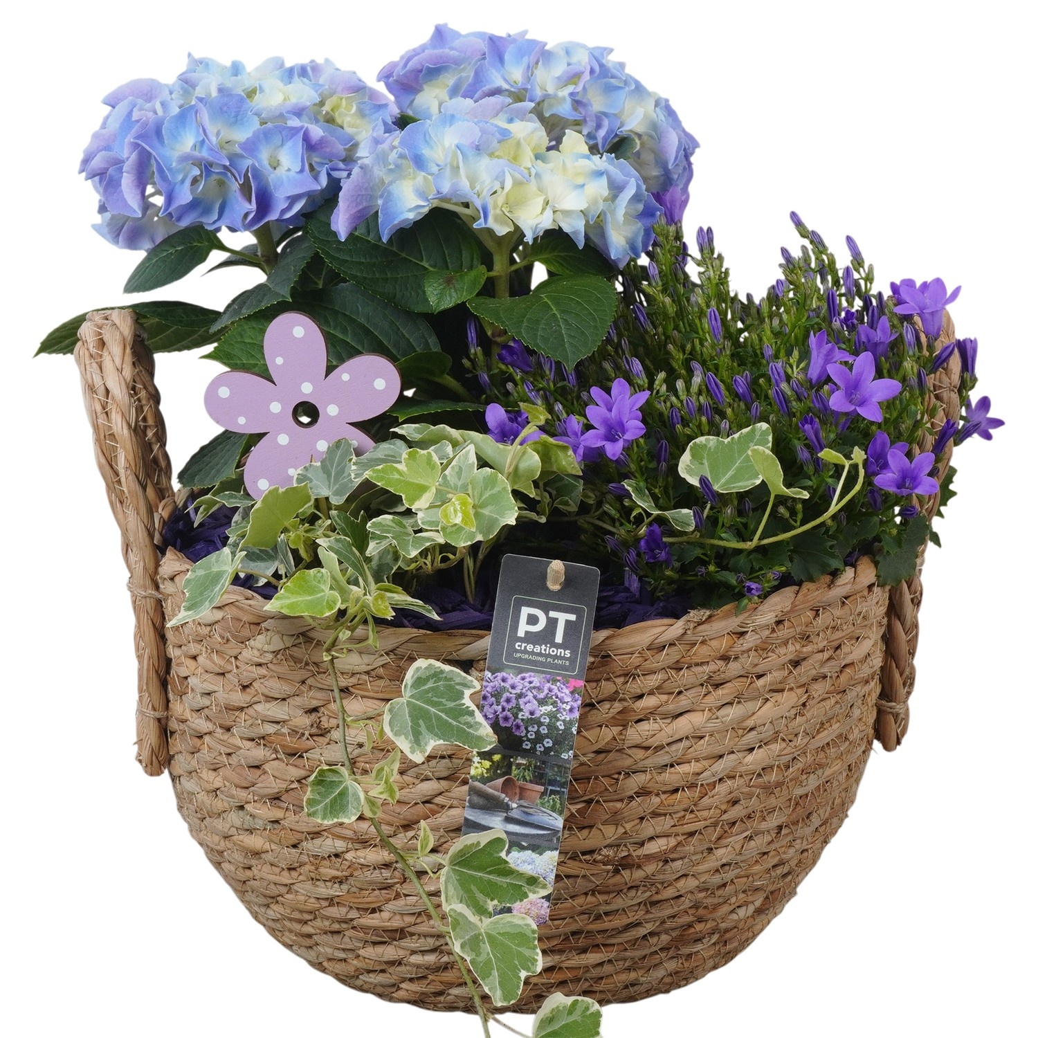 PTPP6977 Arrangement Patio in rieten mand, D 25