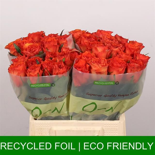 Роза од. Оранж Вэйв 40, шт.