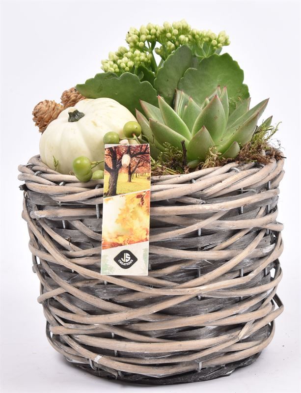 Wilg mand grijs 18cm, D 18 cm