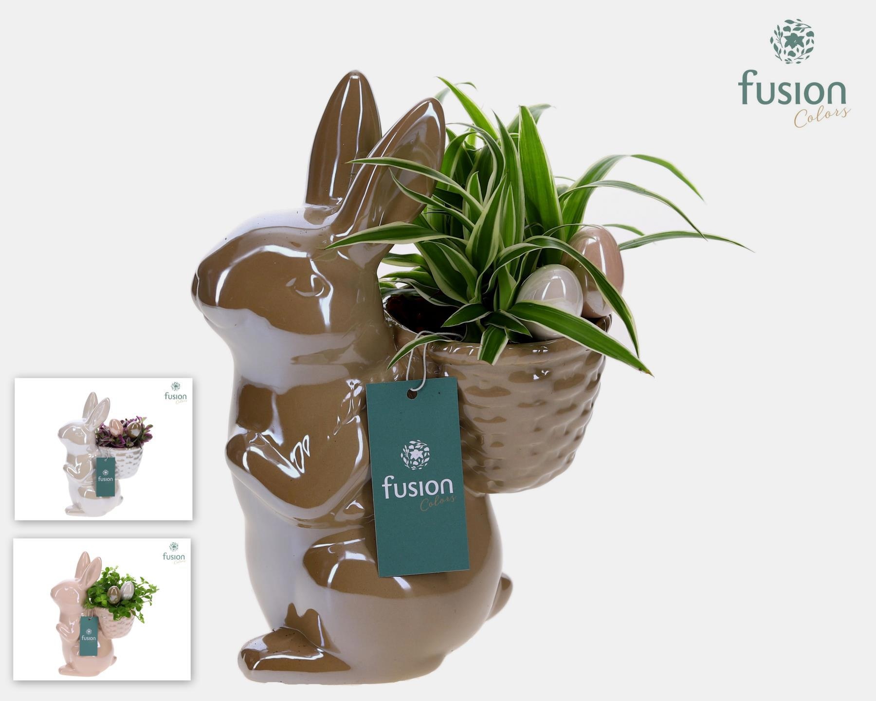 Haas keramiek Medium Pasen 3 kleuren met groene planten, D 19