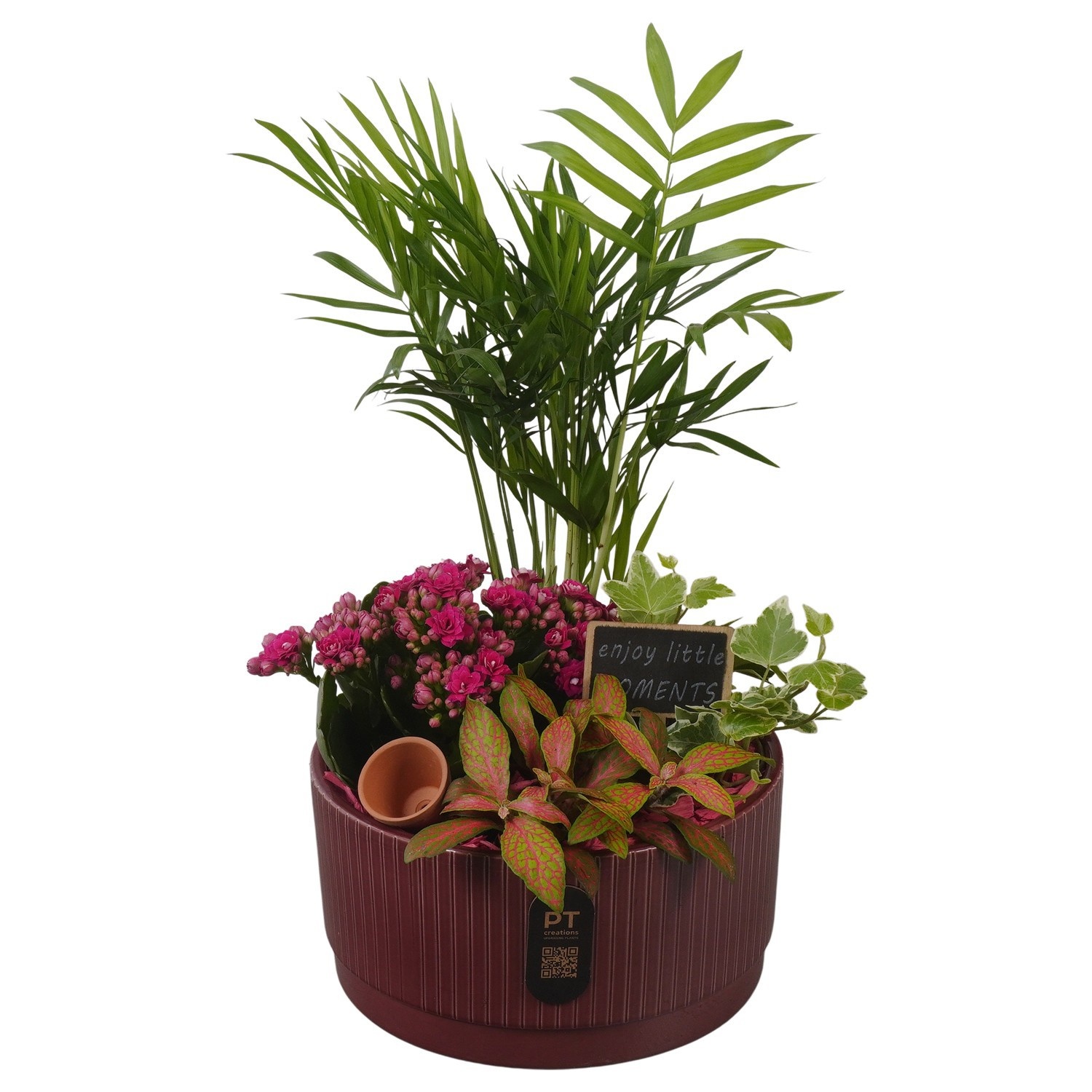 PTIB5123 Arrangement Indoor in keramiek schaal, D 19