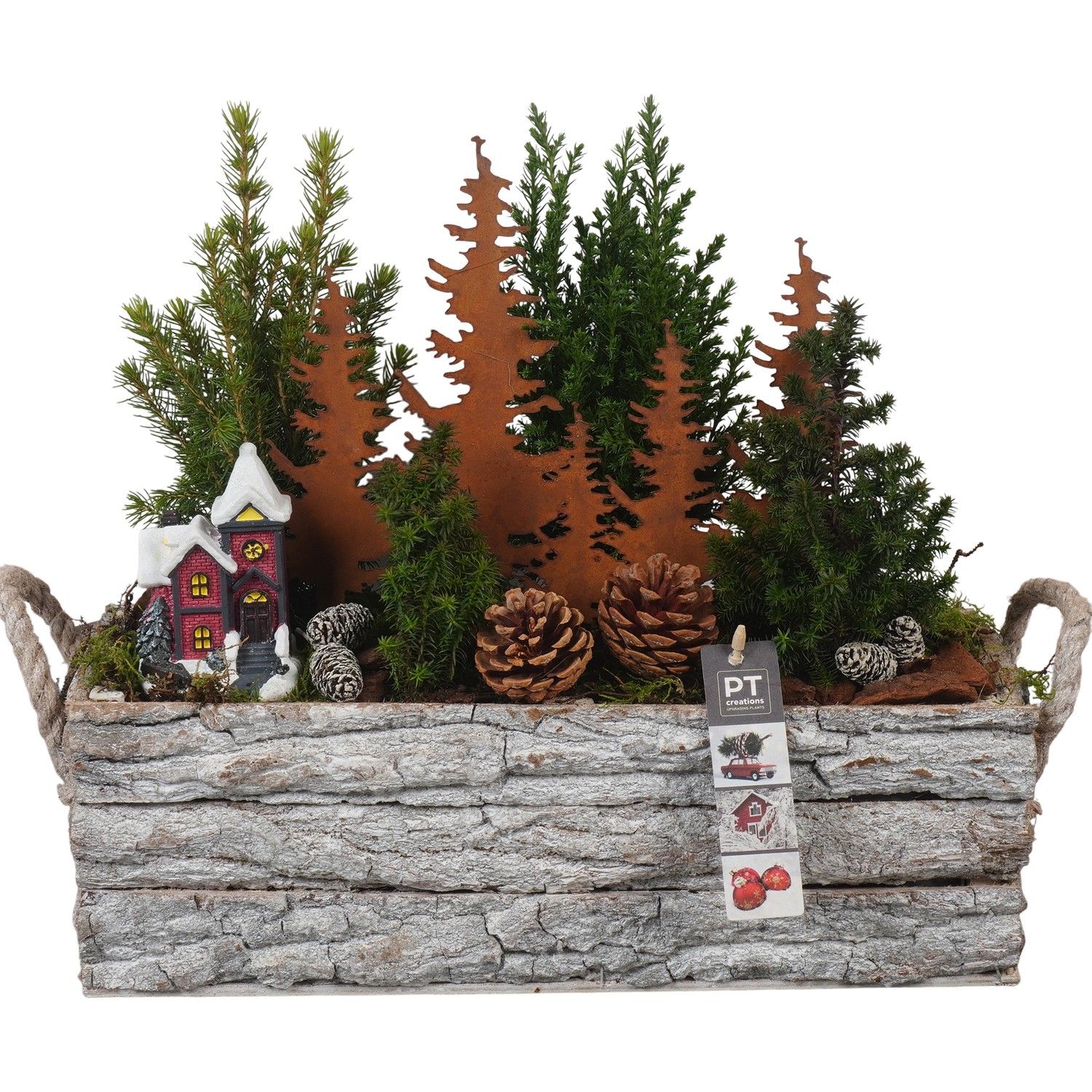 PTCWW6857 Arrangement Winter in houten bak, D 39 cm