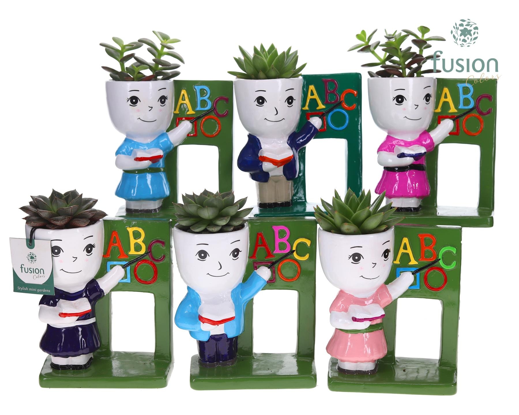 Keramiek back to school met Succulent, D 16