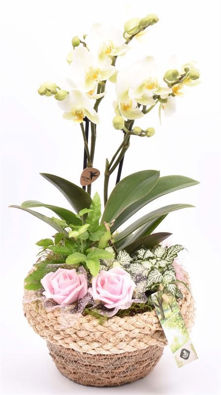 Jute mand met rand 18cm, D 18