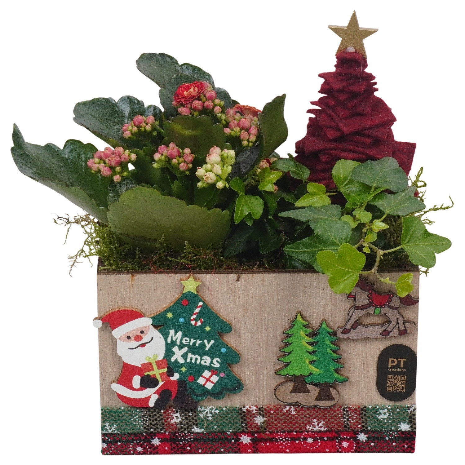 PTCHR9636 Arrangement Christmas Red in houten bak, D 15