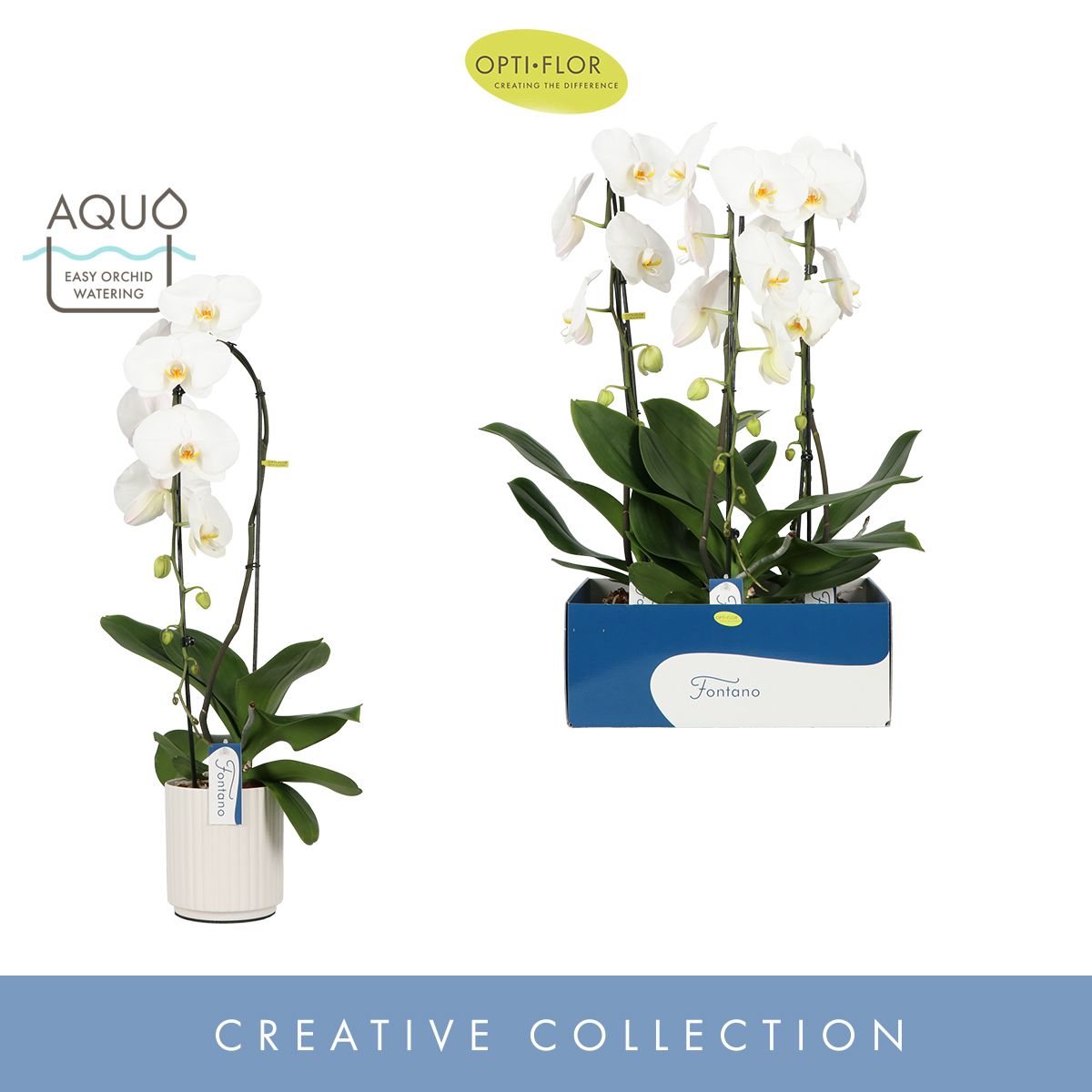 Fontano Wealth 1 spike in Molise White Aquo, D 15 cm