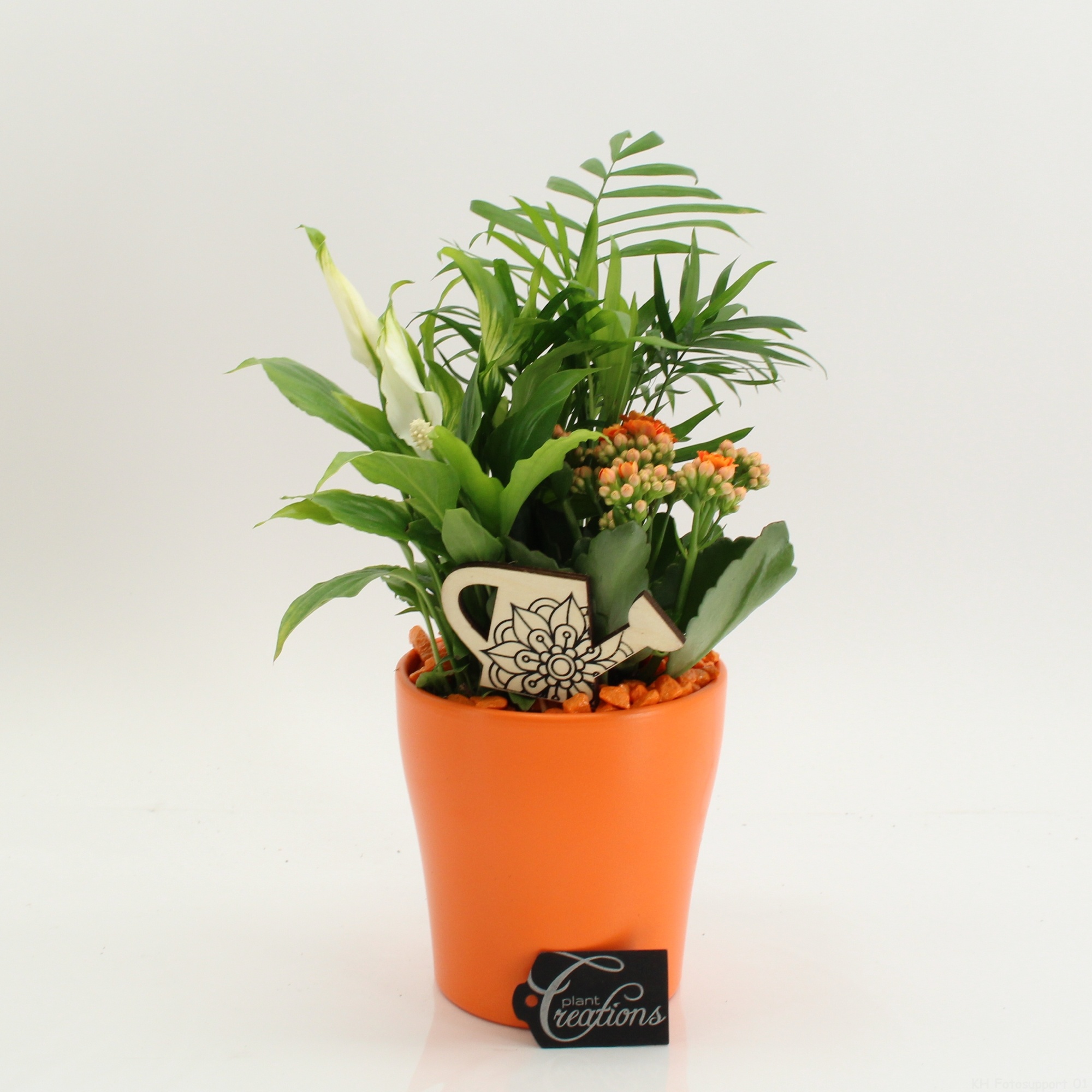 FDCR-2608OR Basic Fundamentals, D 14