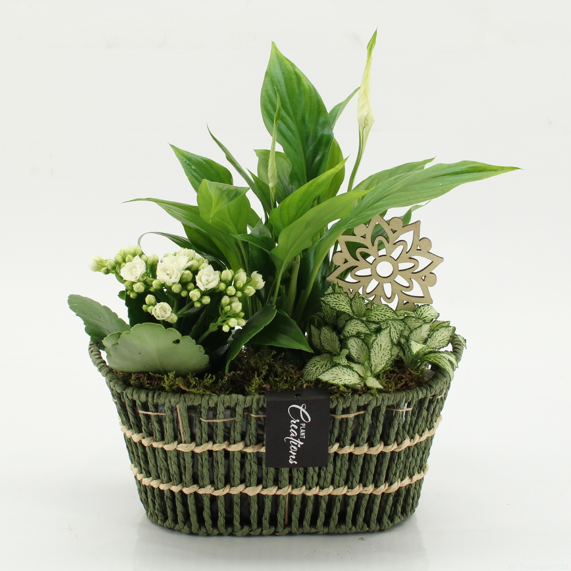 ESCR-2618W Essentials, D 23