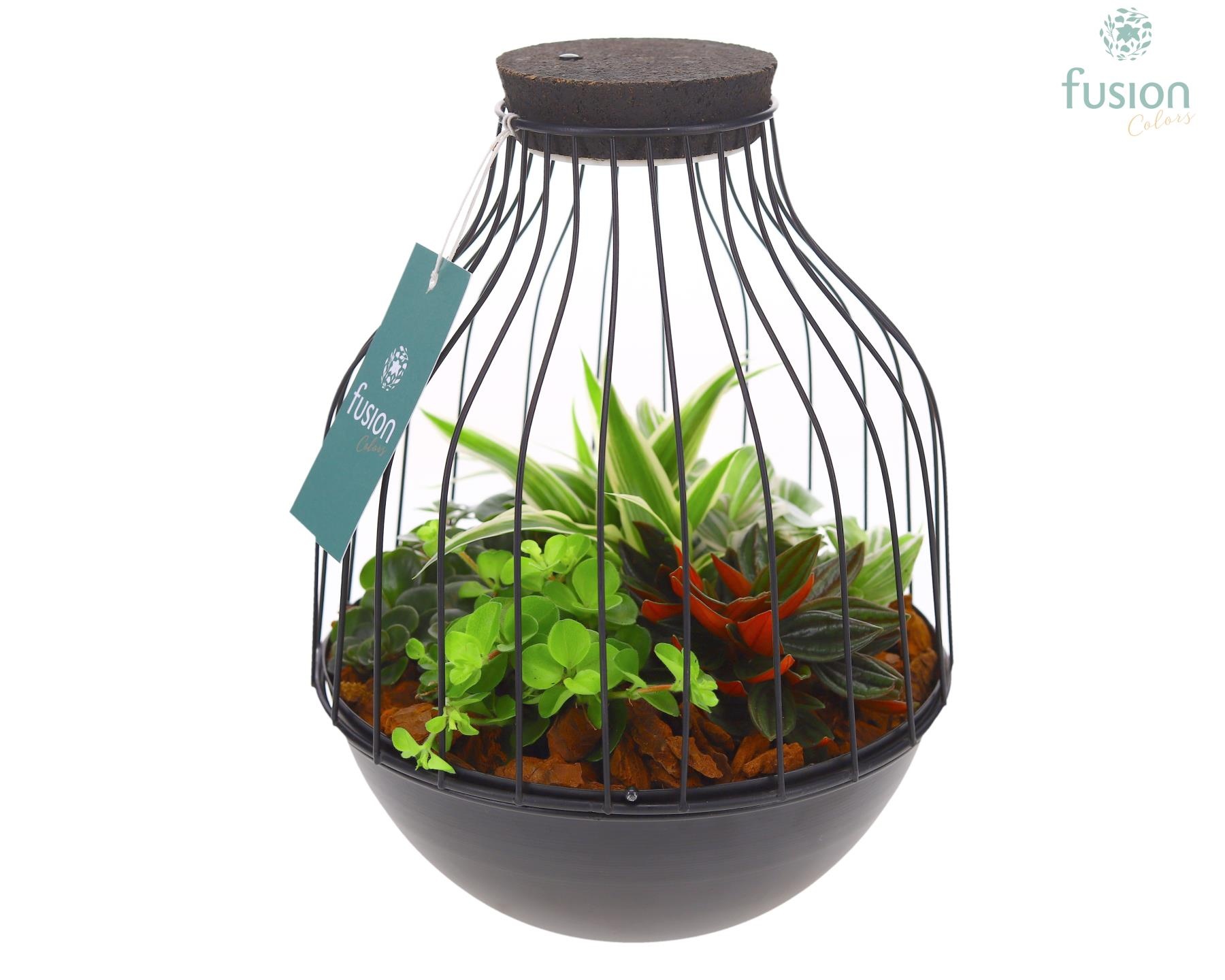 Vogelkooi metaal zwart Medium met groene planten, D 19