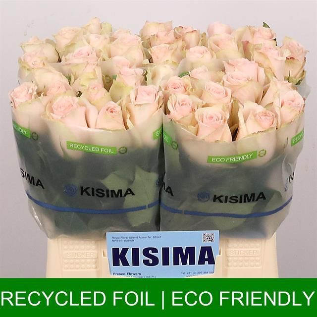 Роза од. Хай Энд Брайдал 40, шт.