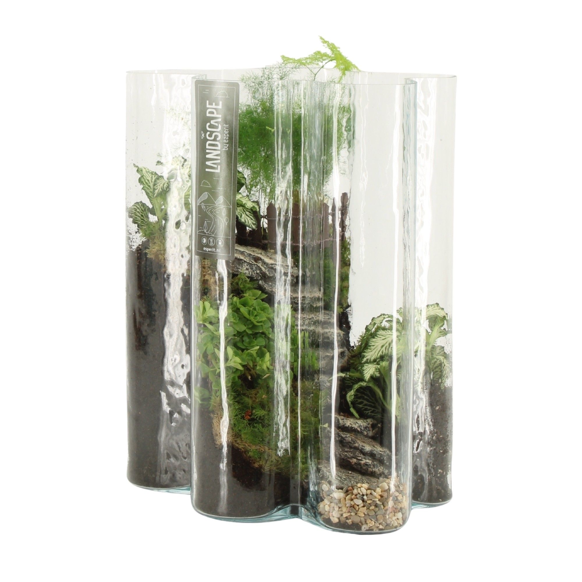 90686: Landscape arrangement, D 20