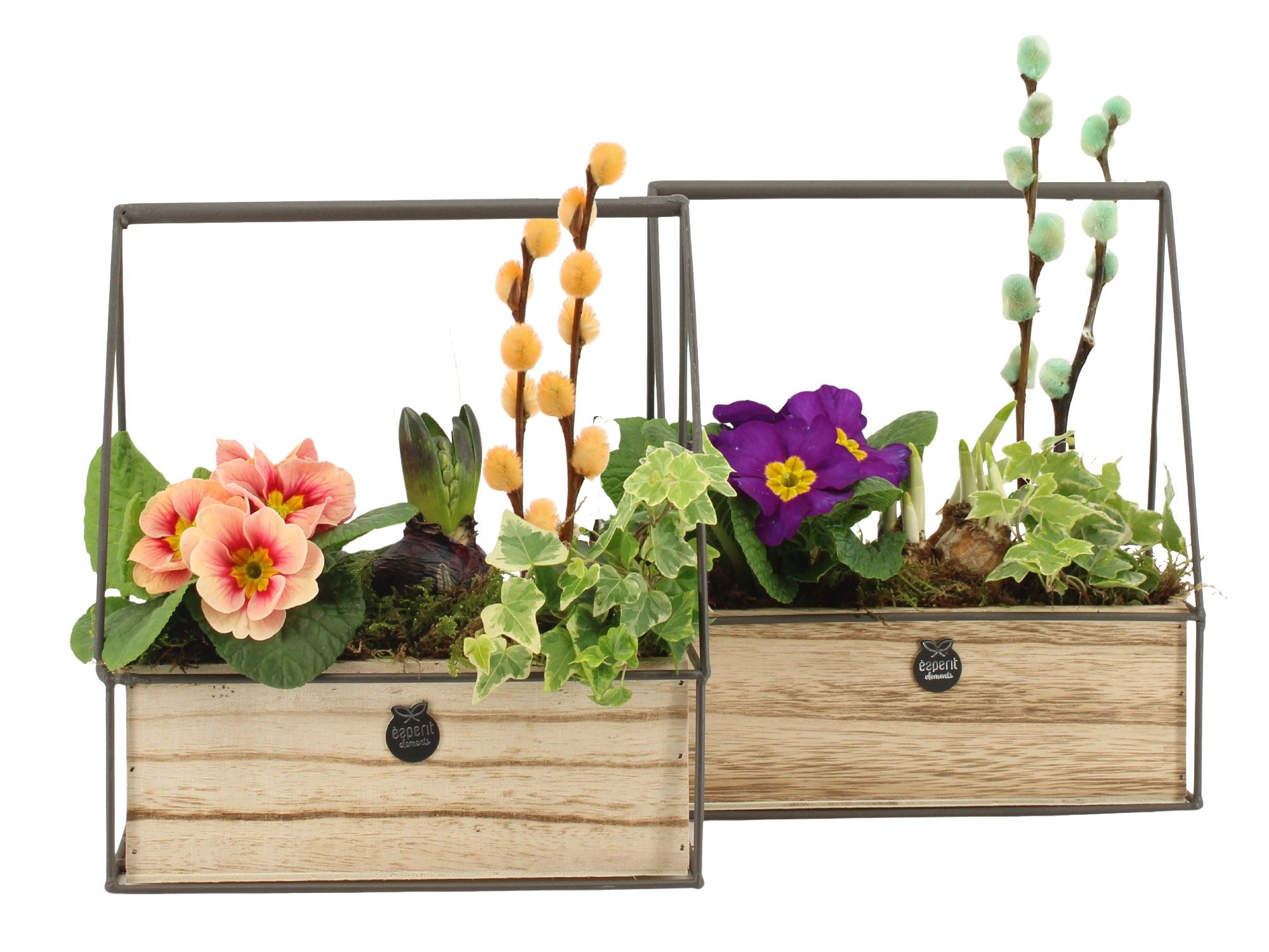 11677: Outdoor spring arrangement, D 22 cm