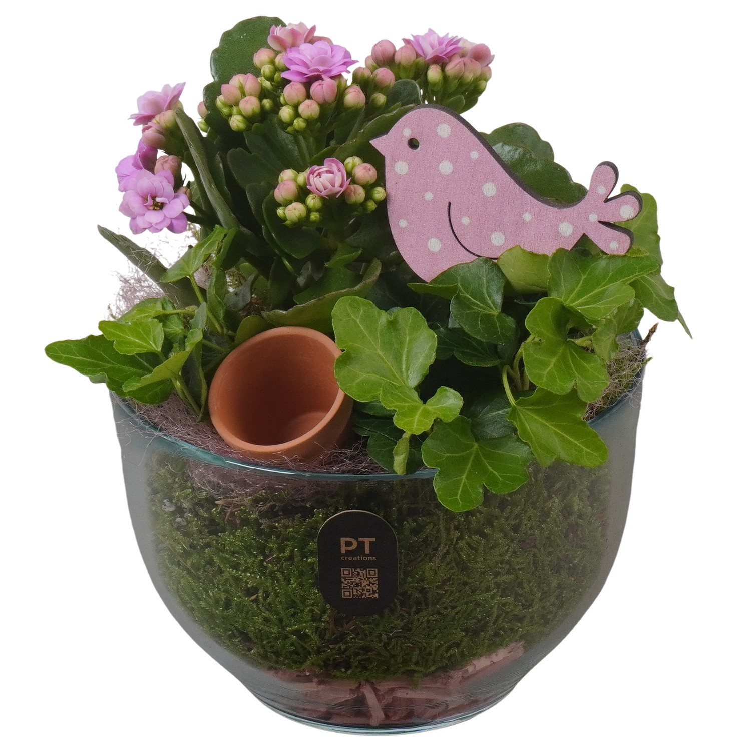 PTIG2645 Arrangement Indoor in glas schaal, D 13