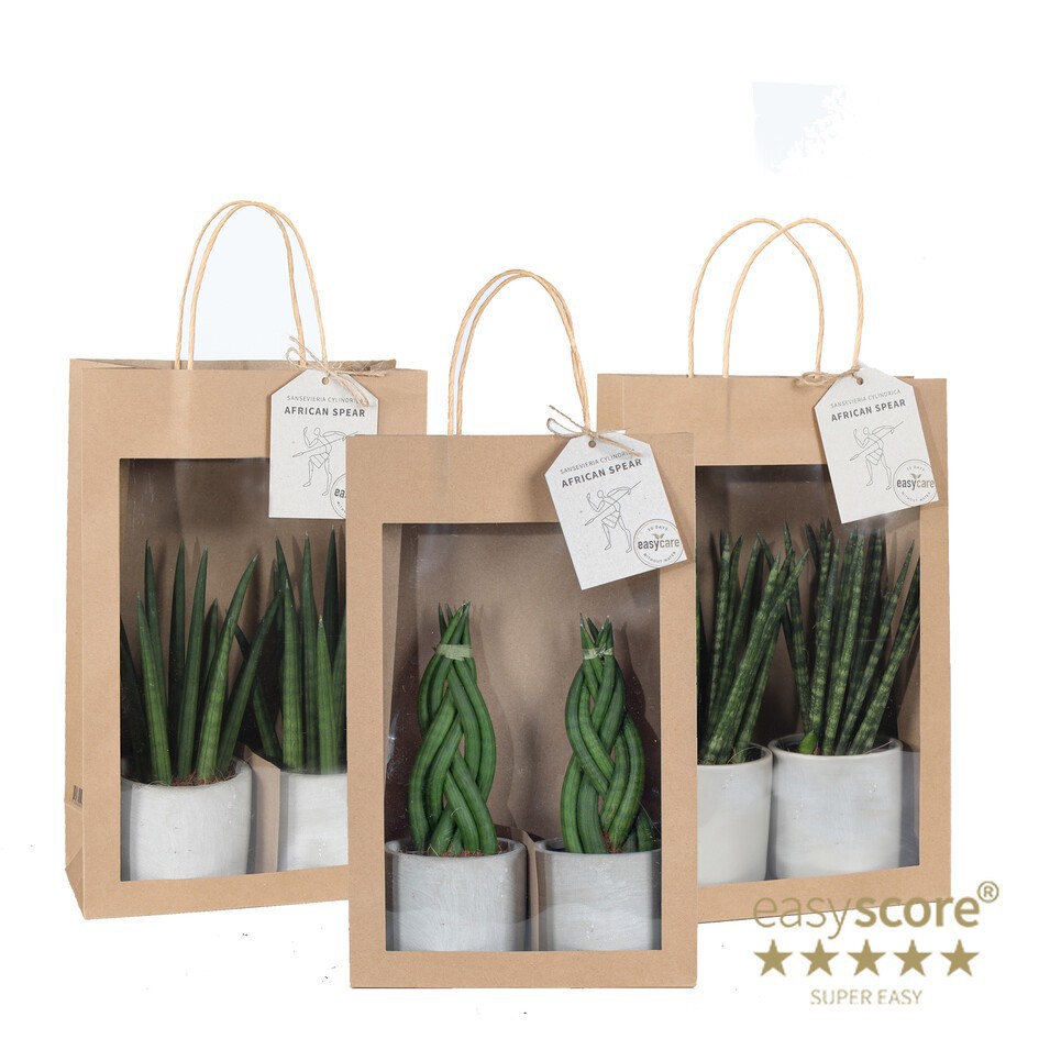 GREEN MIX 30916104 Paperbag 9 cm, D 10 cm