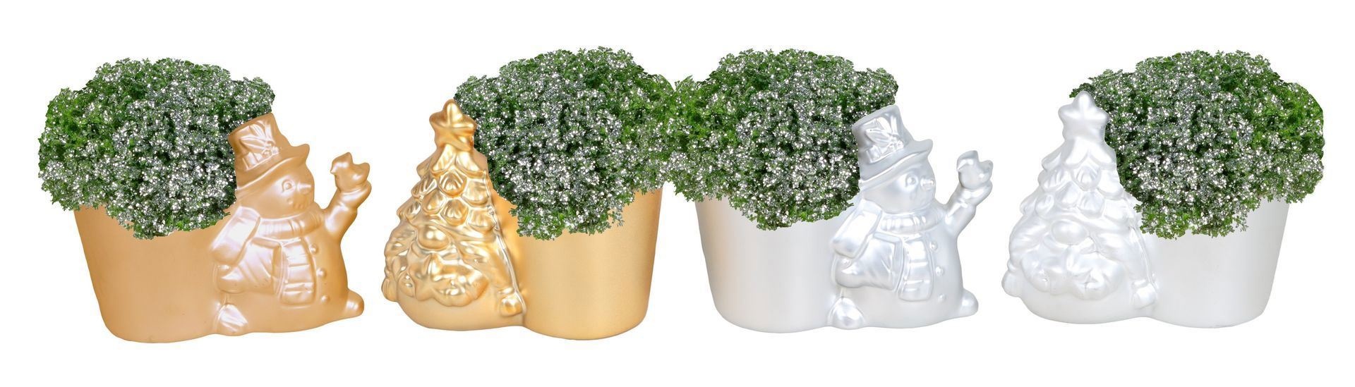 L 67439 With Selaginella Apoda Glitter 6 cm, D 6 cm