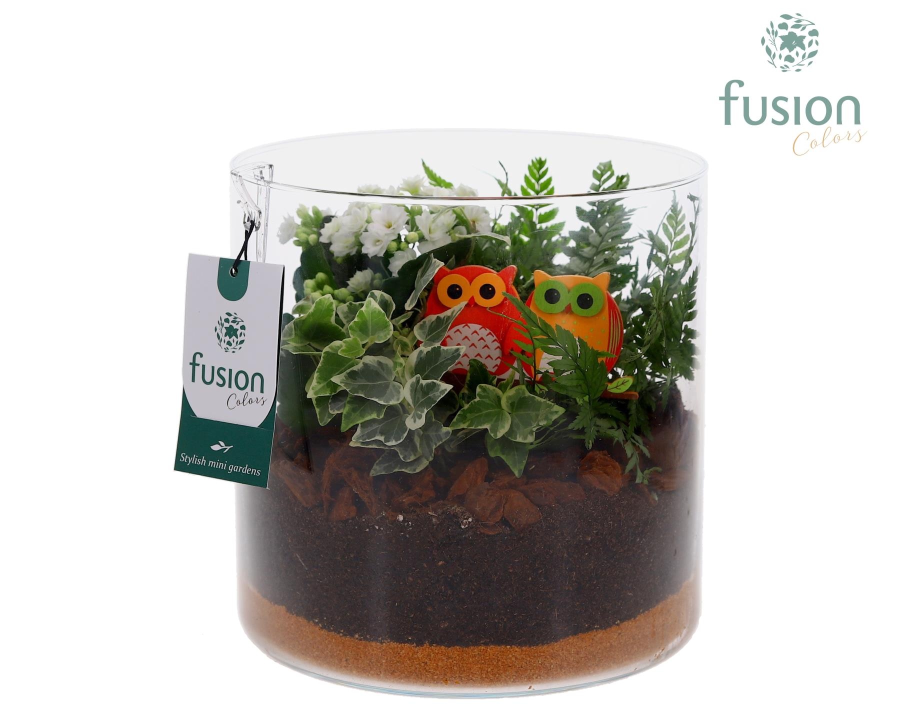 Herfst glazen cilindervaas met arrangement, D 19