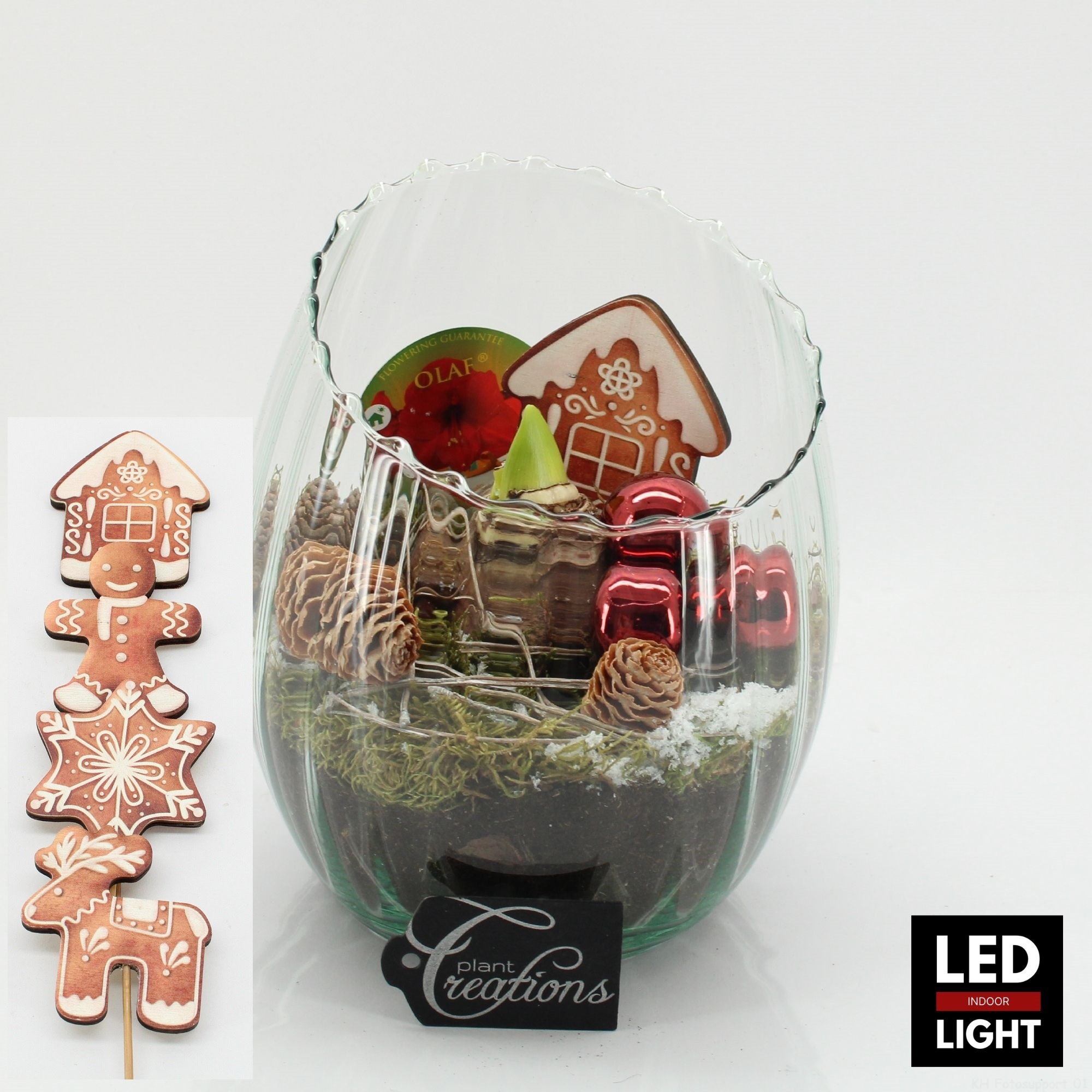 HICR-2507RLED Kerst Amaryllis, D 16 cm