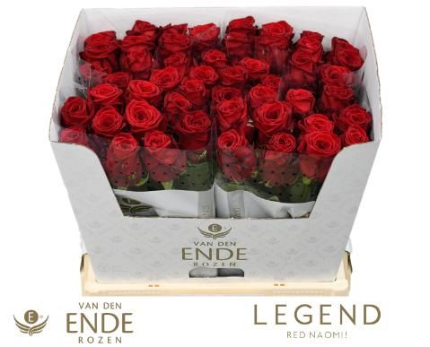 Роза од. Рэд Наоми 60, шт.