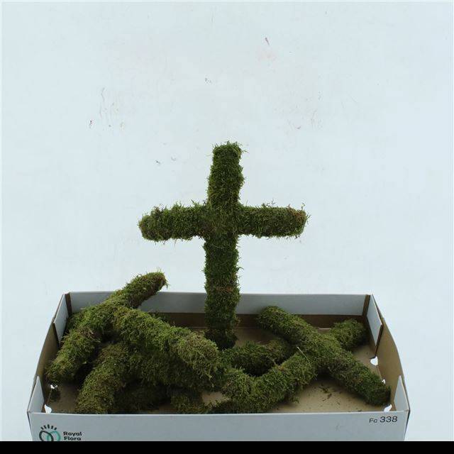 Мох Овериг Крашеный (краш. ), шт.