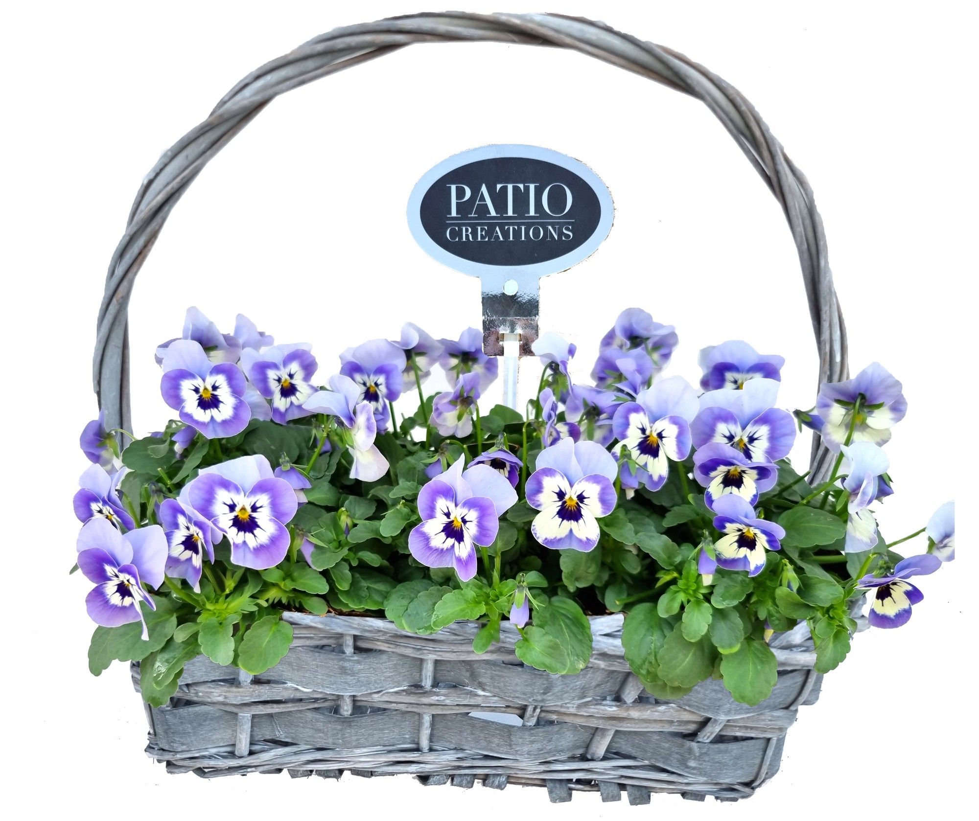 V573-9003 Viola hengselmand rattan, D 30 cm V573-9003 Viola hengselmand rattan, D 30 cm