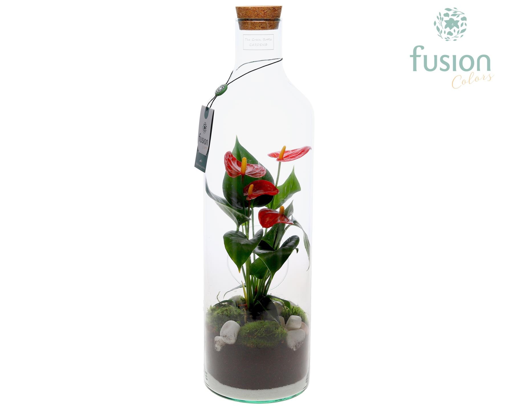 Green Bottle Fles Large met Anthurium, D 15
