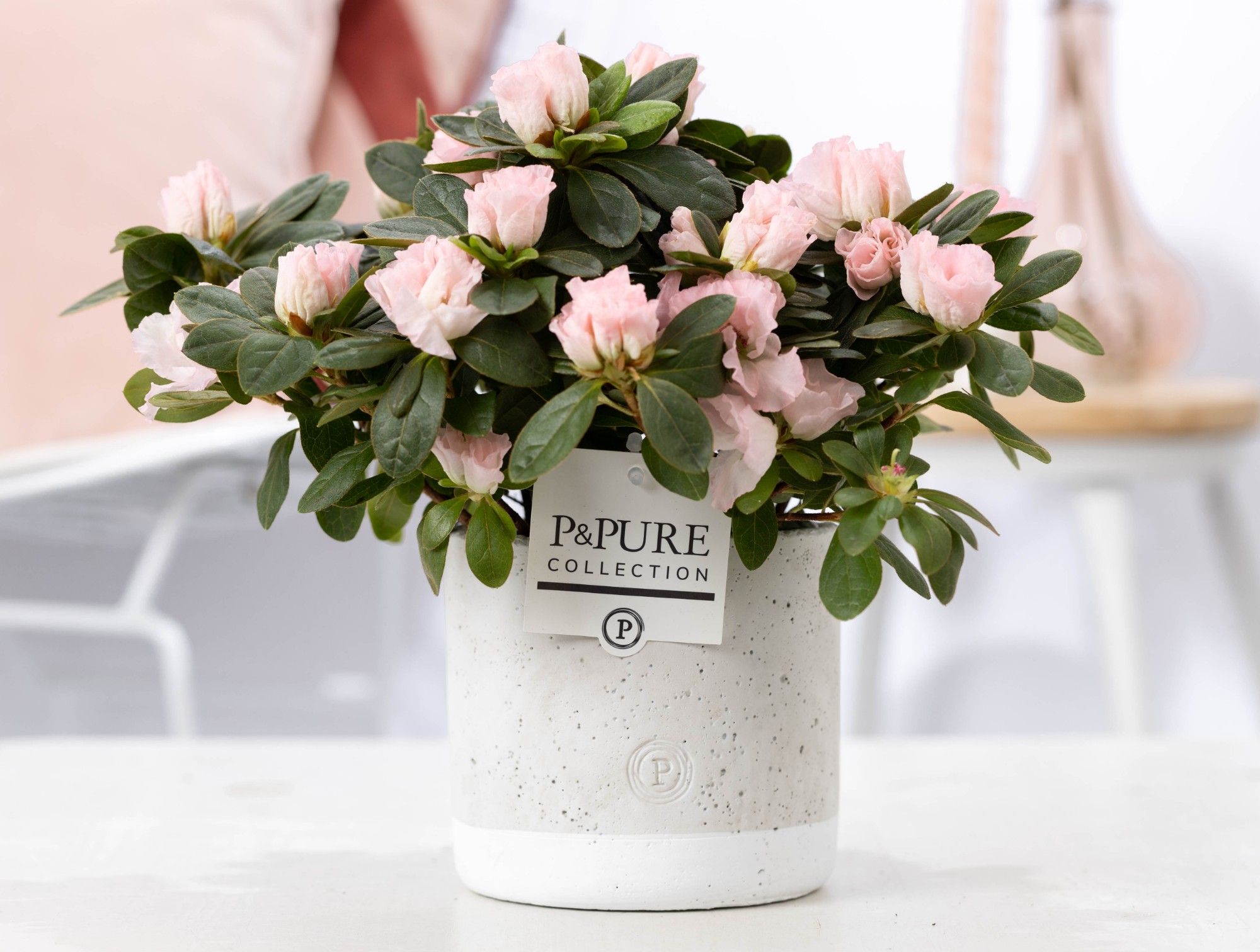 Azalea P&PURE Collection Jade keramiek roze, D 12 cm