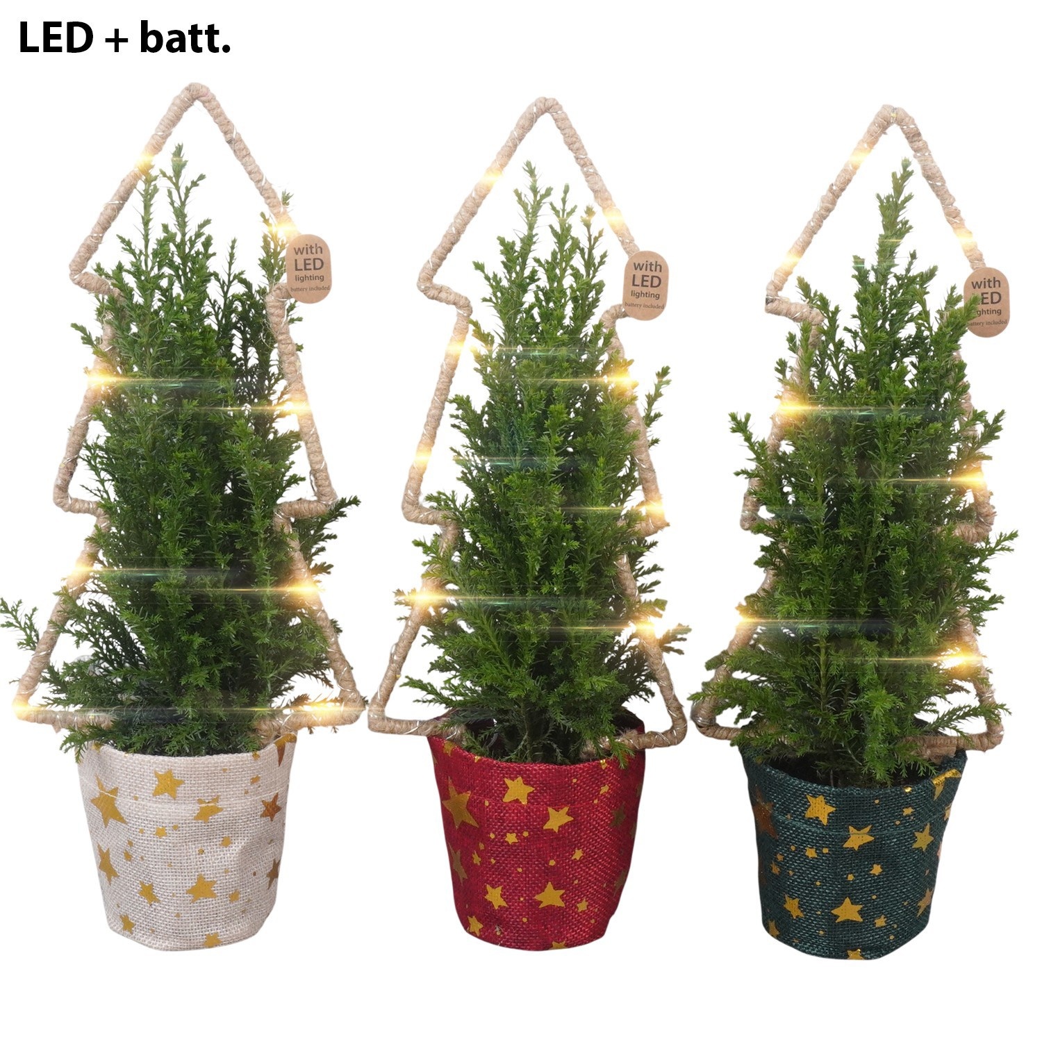 PTK26759 Ellwoodii in jute potcover mix met LED kerstboom, D 9