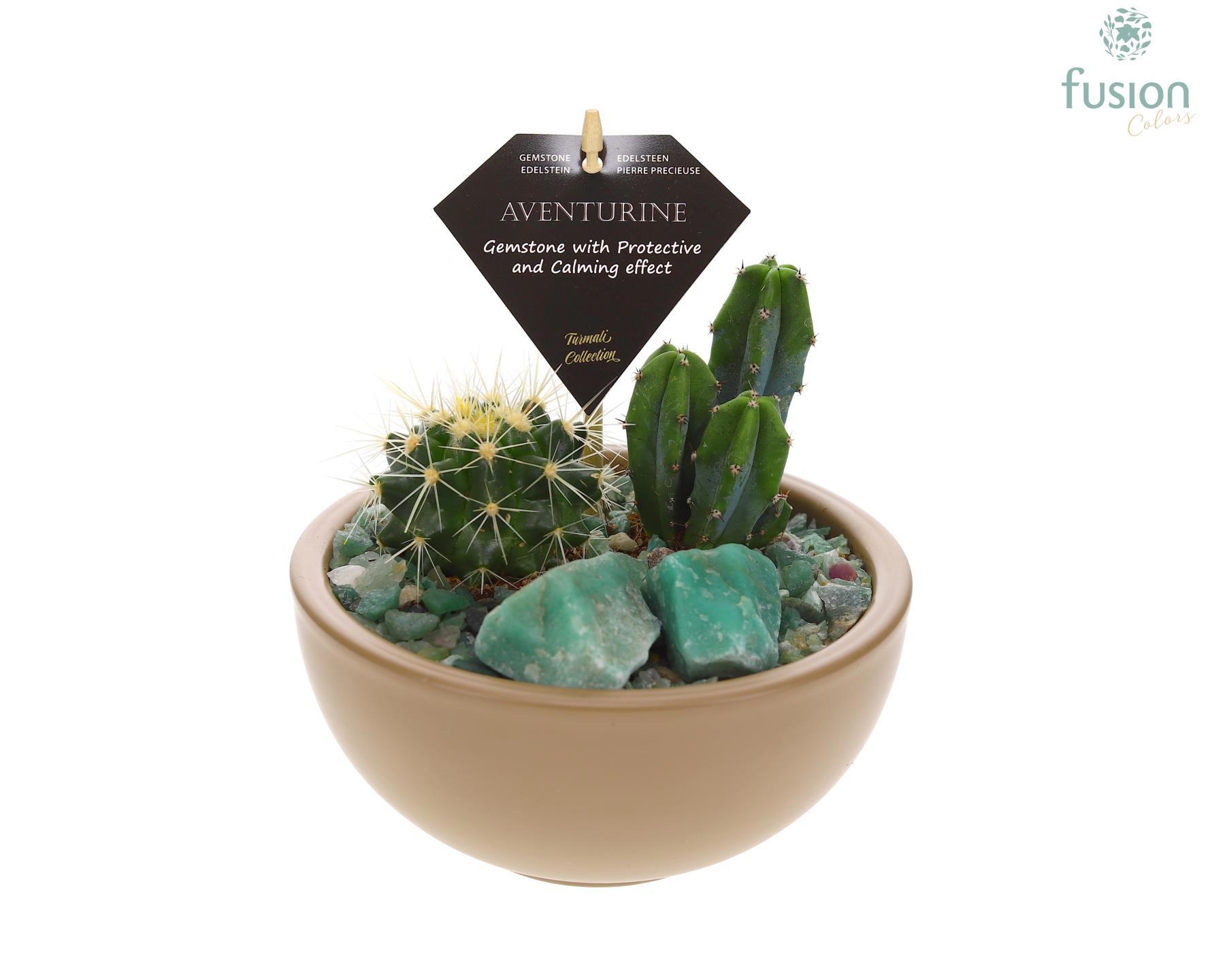 Schaal keramiek Moon Small beige met Cactussen, D 15
