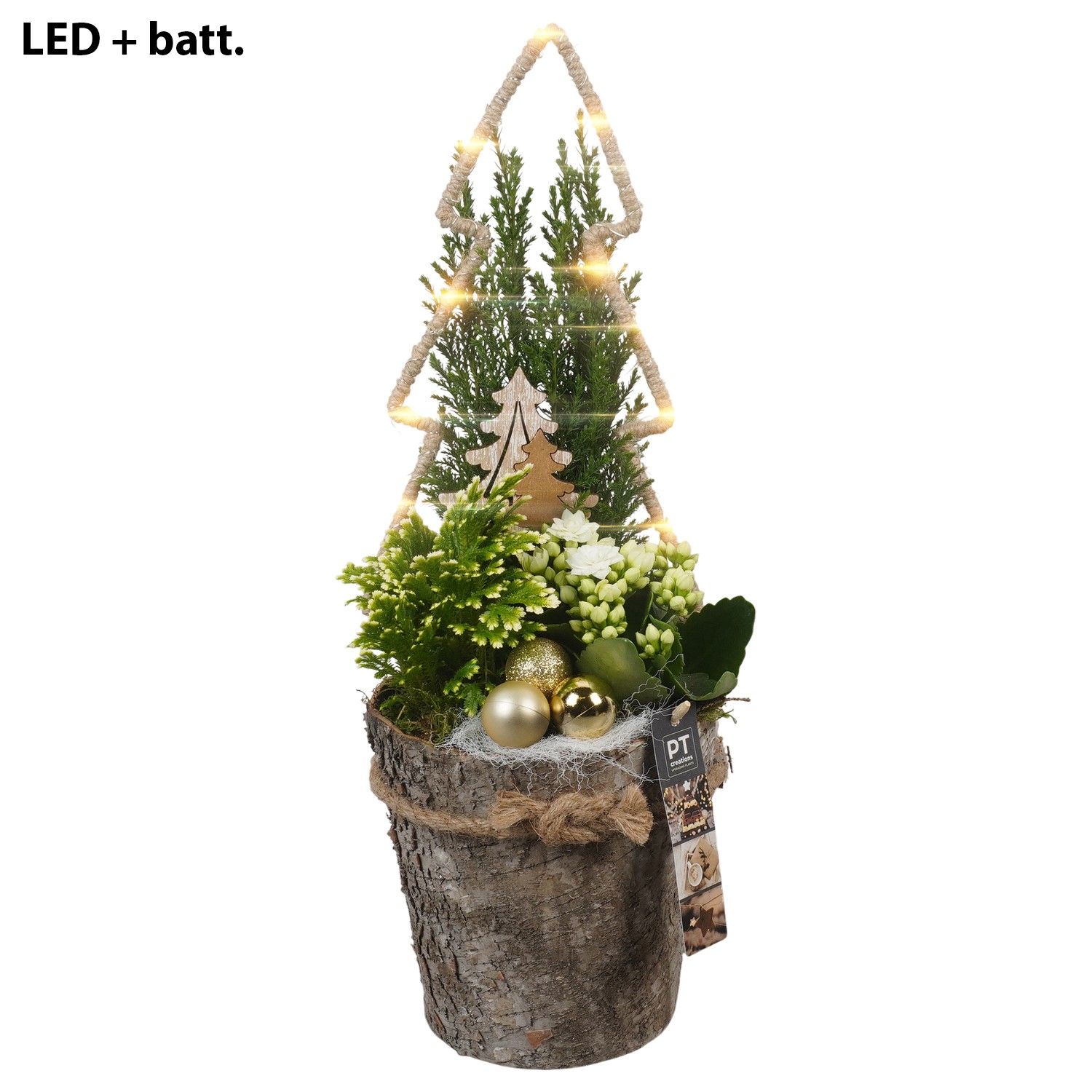 PTCHG5676 Arrangement Christmas Gold in houten pot, D 17 cm