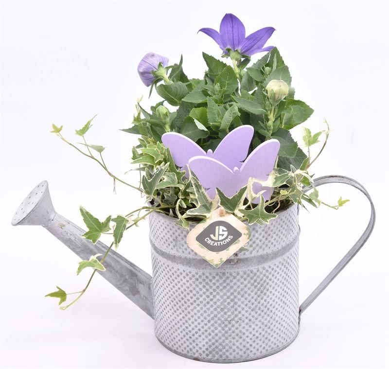 Zink gieter dia14cm, D 14