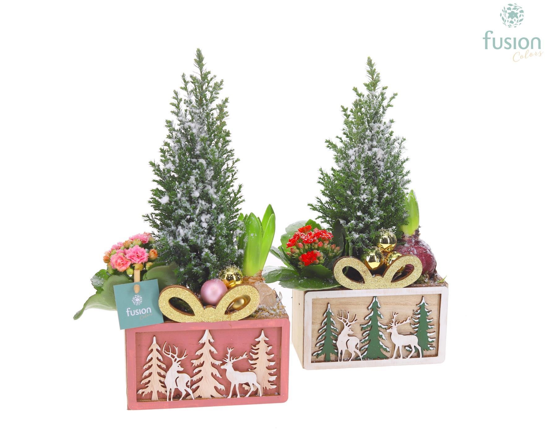 Kerst planter hout met Arrangement, D 15