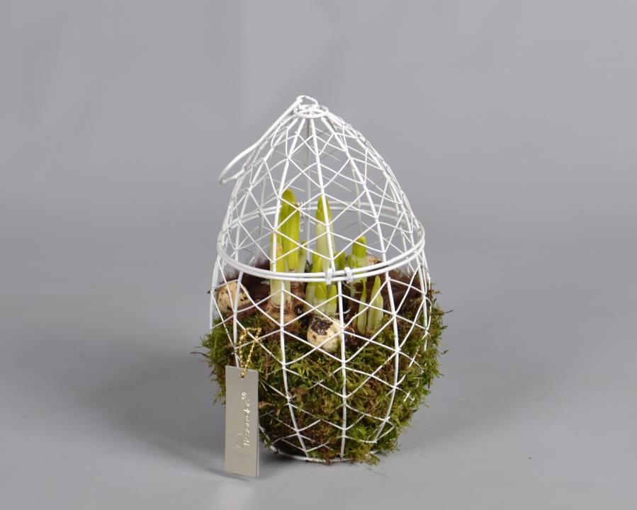 Metaal rek met Narcis Tat, D 16