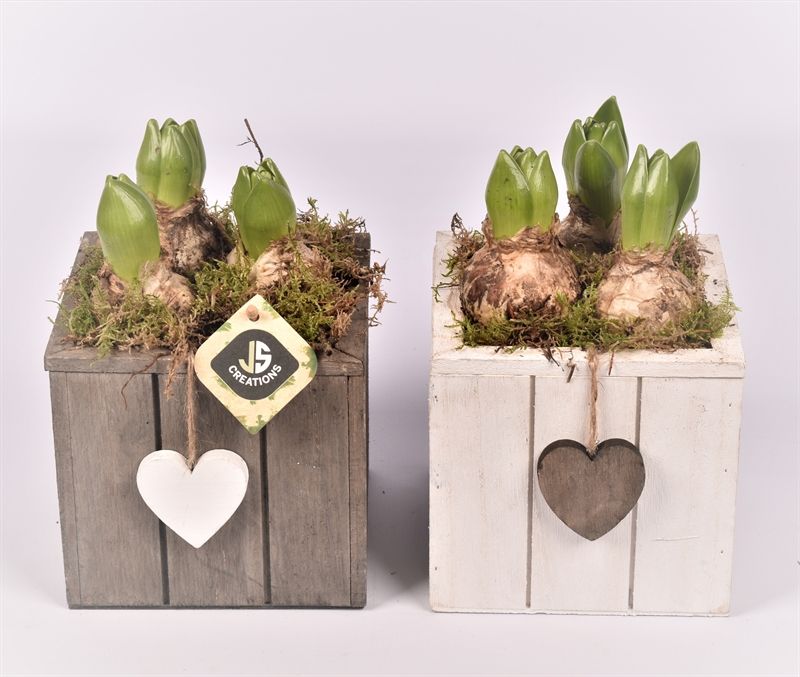 Hout vierkant hart gr/wit 15x15cm, D 15