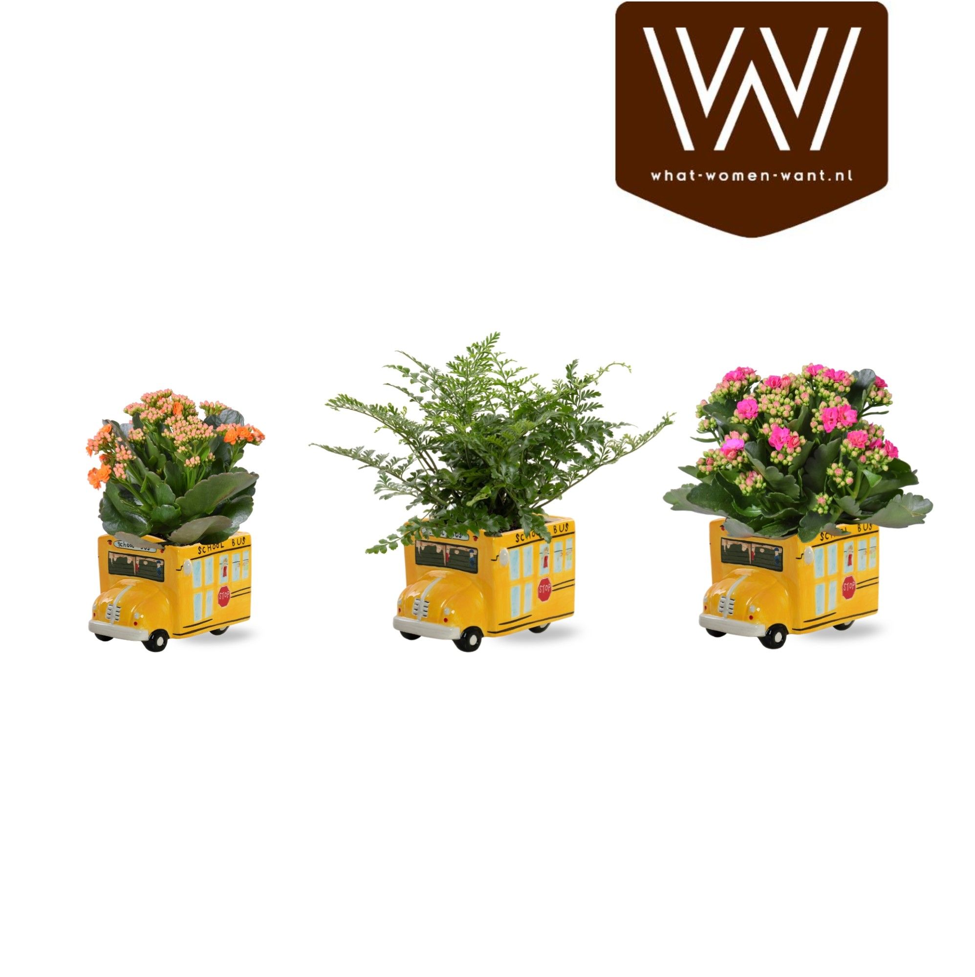 Collectie 'Bubble Collecties' - Bloeimix in Back to School bus Keramiek, D 12