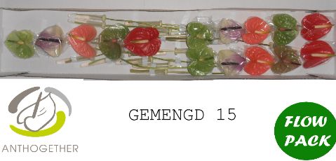 Антуриум Микс x15, шт.