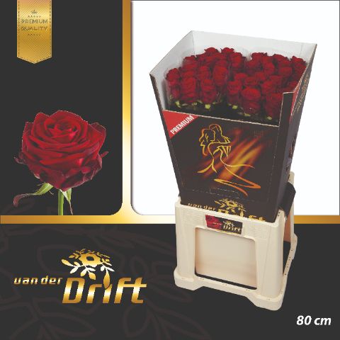 Роза од. Рэд Наоми 80, шт. Роза од. Рэд Наоми 80, шт.