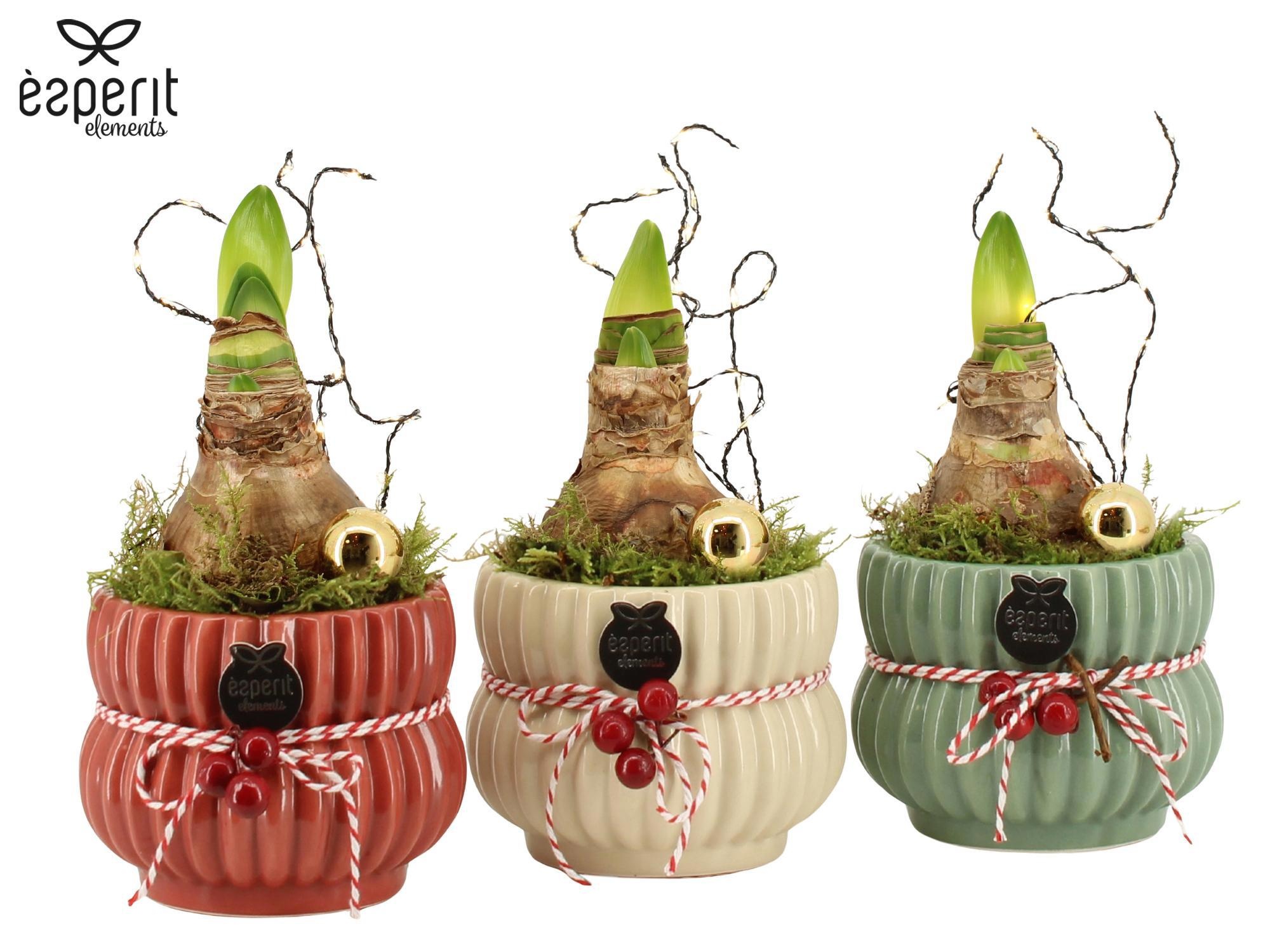 62082: X-mas arrangement met LED, D 12